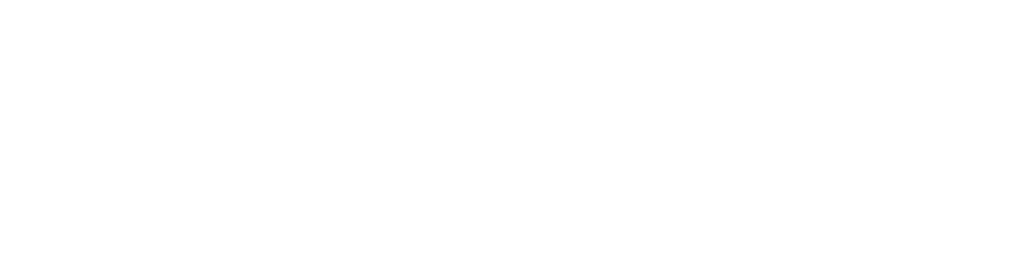 NuNet